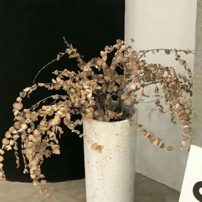 Furry插画构图解析干货兽圈社群